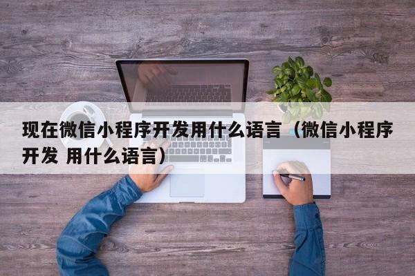 现在微信小程序开发用什么语言(微信小程序开发 用什么语言)