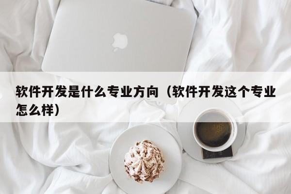 软件开发是什么专业方向(软件开发这个专业怎么样)