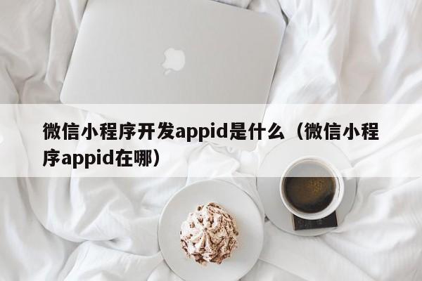 微信小程序开发appid是什么(微信小程序appid在哪)