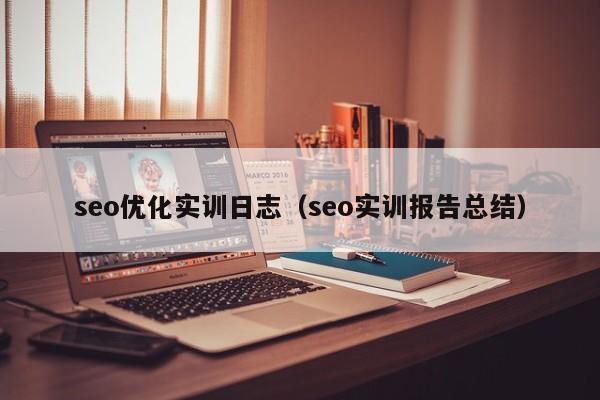seo优化实训日志(seo实训报告总结)