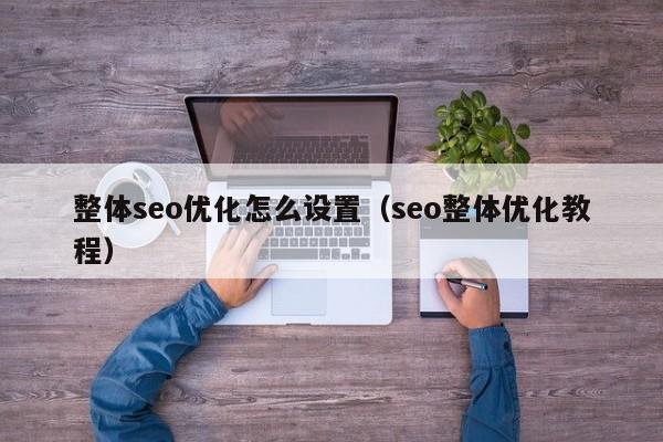 整体seo优化怎么设置(seo整体优化教程)