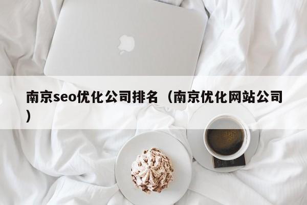 南京seo优化公司排名(南京优化网站公司)