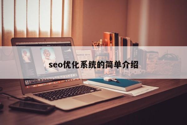 seo优化系统的简单介绍