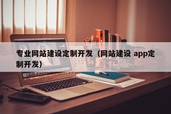 专业网站建设定制开发(网站建设 app定制开发)