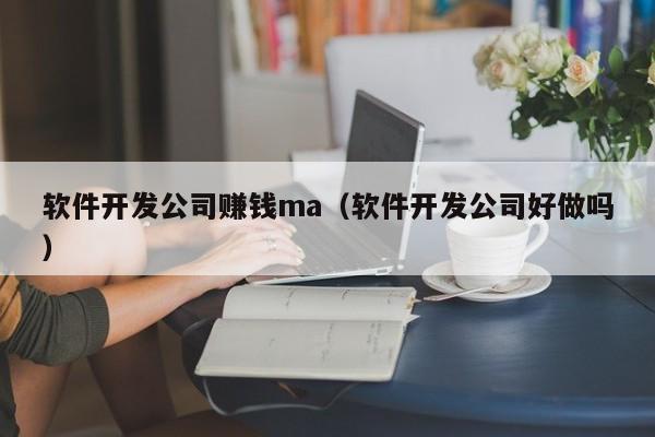 软件开发公司赚钱ma(软件开发公司好做吗)