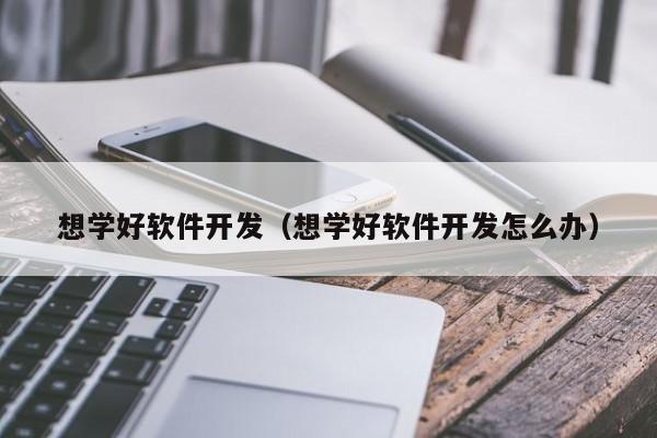 想学好软件开发(想学好软件开发怎么办)