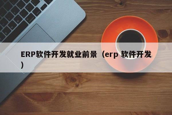 ERP软件开发就业前景(erp 软件开发)
