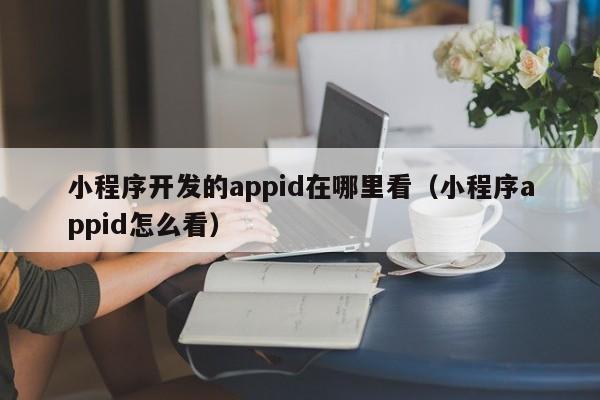 小程序开发的appid在哪里看(小程序appid怎么看)