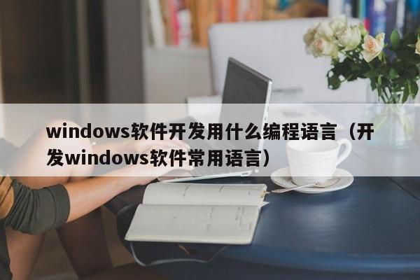 windows软件开发用什么编程语言(开发windows软件常用语言)