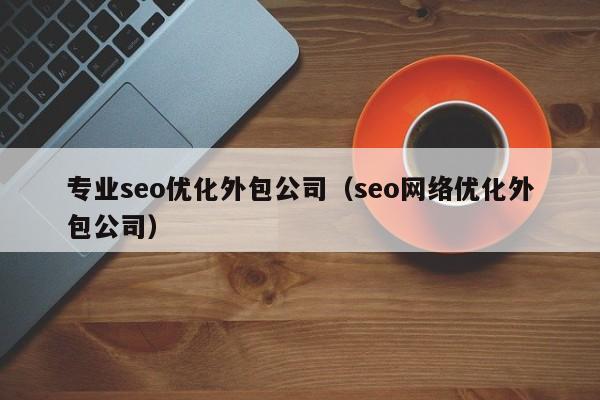 专业seo优化外包公司(seo网络优化外包公司)