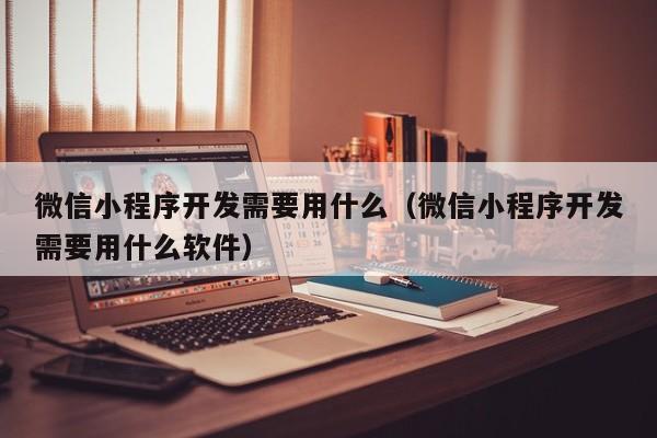 微信小程序开发需要用什么(微信小程序开发需要用什么软件)
