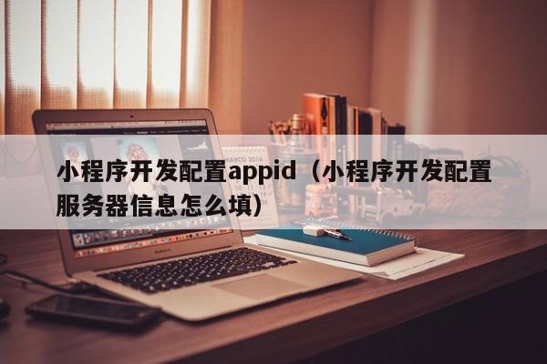 小程序开发配置appid(小程序开发配置服务器信息怎么填)