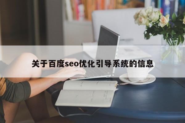 关于百度seo优化引导系统的信息
