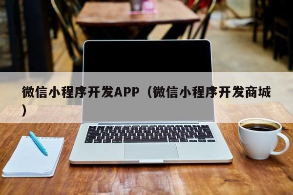 微信小程序开发APP(微信小程序开发商城)
