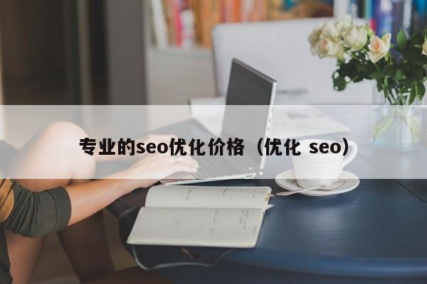 专业的seo优化价格(优化 seo)