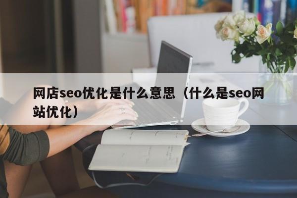 网店seo优化是什么意思(什么是seo网站优化)