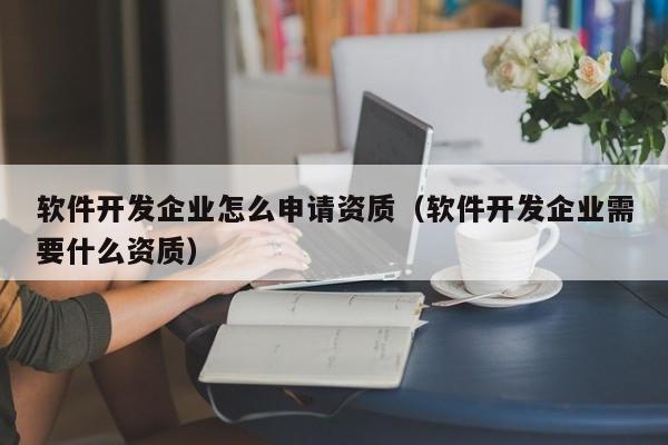 软件开发企业怎么申请资质(软件开发企业需要什么资质)