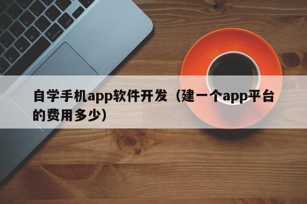 自学手机app软件开发(建一个app平台的费用多少)