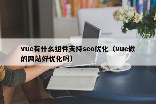 vue有什么组件支持seo优化(vue做的网站好优化吗)